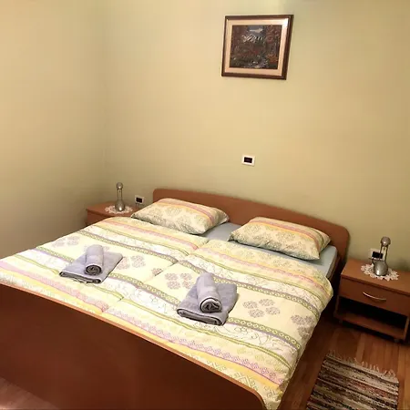 Apartment Apartma Pod Rozem