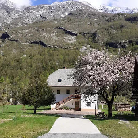 Apartmán Apartma Pod Rozem
