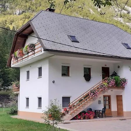 Apartma Pod Rozem *