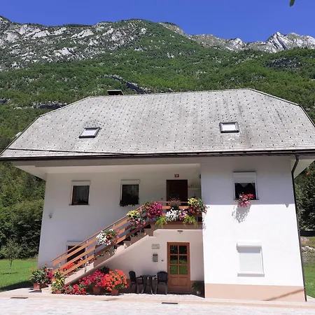 Apartma Pod Rozem Apartment