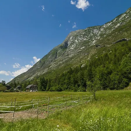 Apartma Pod Rozem *