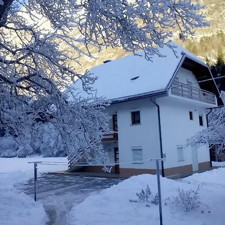 Apartma Pod Rozem Appartamento Soča