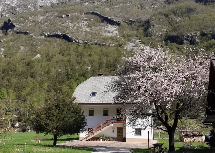 Apartamento Apartma Pod Rozem