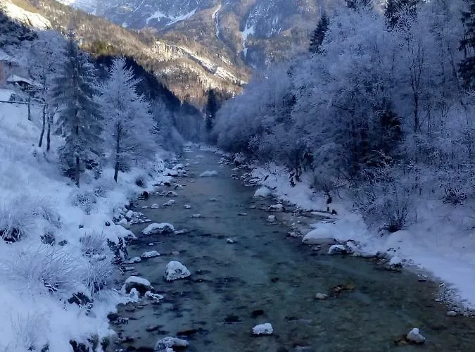 Apartamento Apartma Pod Rozem *