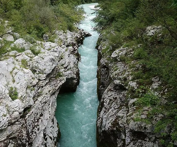 Apartamento Apartma Pod Rozem *