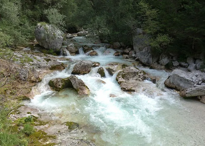 Apartma Pod Rozem Apartma