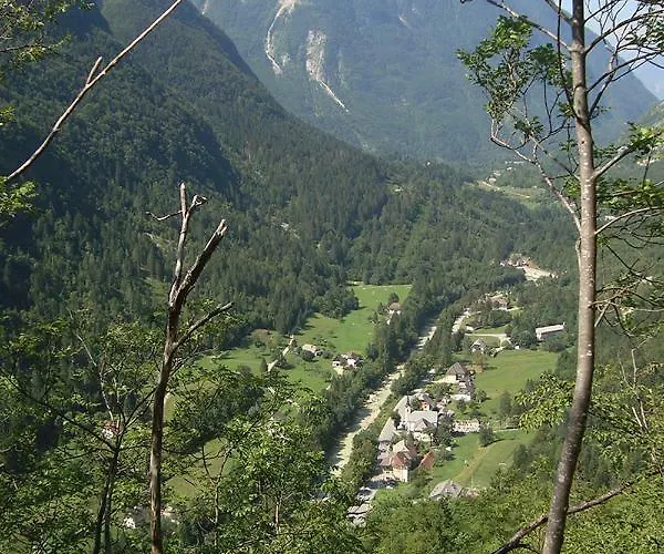 Apartma Pod Rozem Apartma *